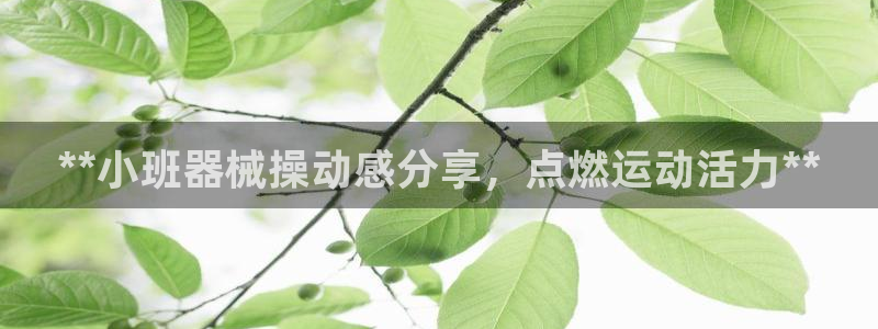 尊龙新版登录网址下载：**小班器械操动感分享，点燃运