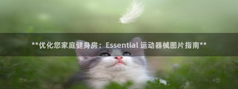 尊龙凯时有假么：**优化您家庭健身房：Essenti