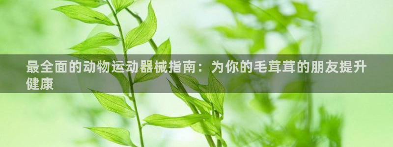 尊龙凯时提款冻卡吗：最全面的动物运动器械指南：为你的