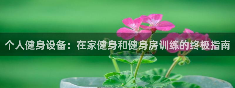 尊龙d88官网登录苹果版下载：个人健身设备：在家健身