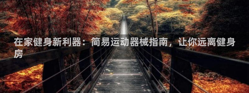 尊龙凯时网站登录：在家健身新利器：简易运动器械指南，