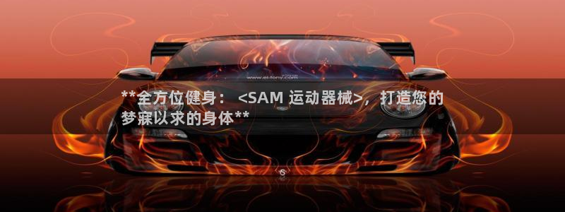 尊龙人生就是博：**全方位健身： <SAM 运动器械