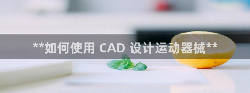 z6com尊龙：**如何使用 CAD 设计运动器械*